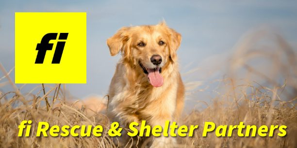 fi rescue & shelter partners