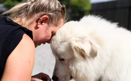 Person socializing with GRRAND dog